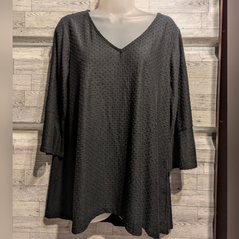 Rose & Olive Black and White V-Neck Top